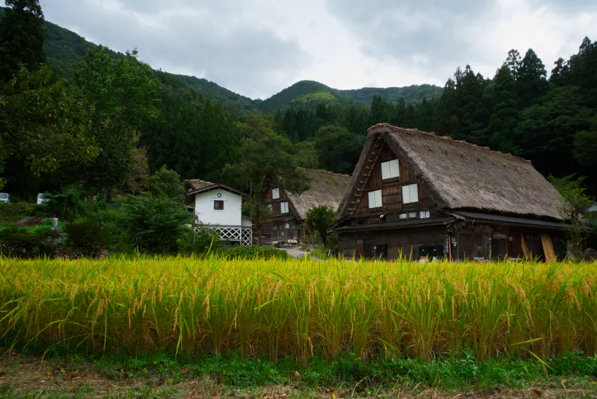 Shirakawa-gō